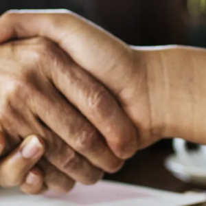 Attività di consulenza